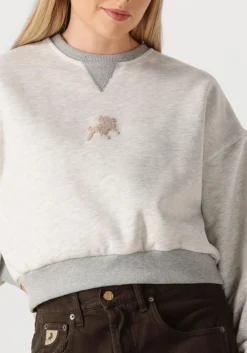 DAMES LOIS JEANS grijze sweater cropp over