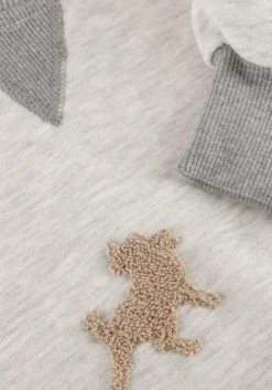 DAMES LOIS JEANS grijze sweater cropp over