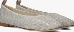 DAMES ODARE grijze ballerina's agata