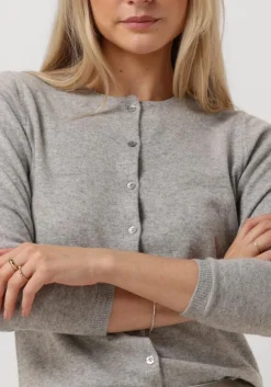 DAMES RESORT FINEST grijze vest lucca