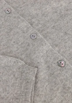 DAMES RESORT FINEST grijze vest lucca