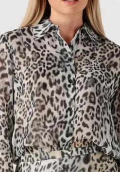 DAMES RIANI grijze blouses 575130-4446