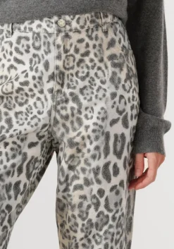 DAMES RIANI grijze straight leg jeans 573327-4448