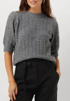 DAMES SUNCOO grijze trui pensee