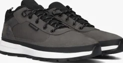 Heren TIMBERLAND grijze lage sneakers field trekker low lace up
