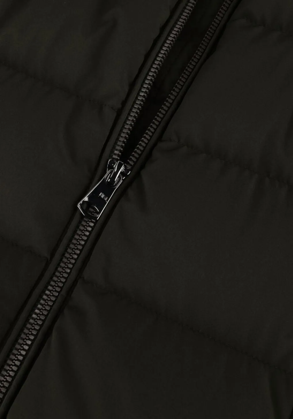 DAMES BEAUMONT e gewatteerde jas polly