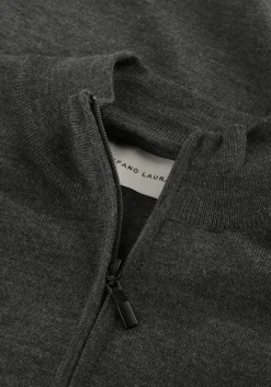 Heren STEFANO LAURAN e trui half zip anders