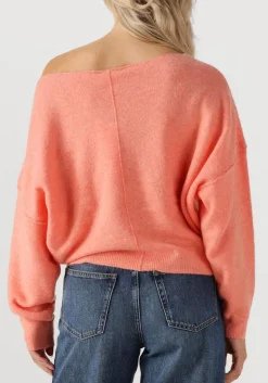 DAMES AMERICAN VINTAGE trui damsville