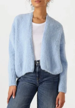 DAMES KNIT-TED e vest becky