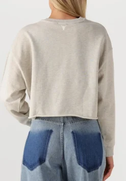 DAMES ALIX THE LABEL lichtgrijze trui ladies knitted soft sweater