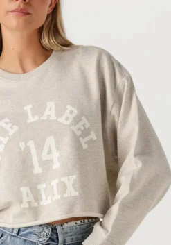 DAMES ALIX THE LABEL lichtgrijze trui ladies knitted soft sweater