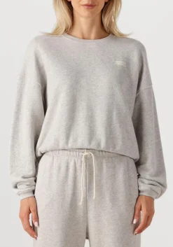 DAMES AMERICAN VINTAGE lichtgrijze sweater kodytown woman