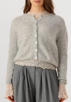 DAMES AMERICAN VINTAGE lichtgrijze vest vitow cardigan