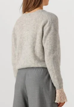 DAMES AMERICAN VINTAGE lichtgrijze vest vitow cardigan