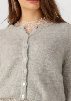 DAMES AMERICAN VINTAGE lichtgrijze vest vitow cardigan