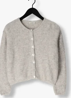 DAMES AMERICAN VINTAGE lichtgrijze vest vitow cardigan