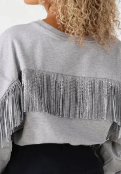 DAMES CO'COUTURE lichtgrijze trui studcc fringe sweat