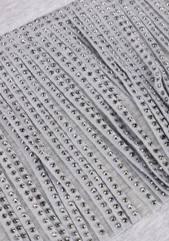 DAMES CO'COUTURE lichtgrijze trui studcc fringe sweat