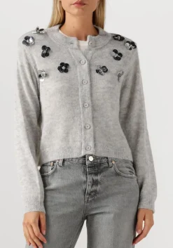 DAMES DANTE6 lichtgrijze vest fawn sequin cardigan