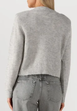 DAMES DANTE6 lichtgrijze vest fawn sequin cardigan