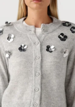 DAMES DANTE6 lichtgrijze vest fawn sequin cardigan
