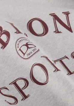 DAMES DEBLON SPORTS lichtgrijze sweater lilou sweater