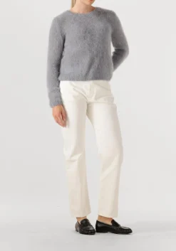 DAMES DES PETITS HAUTS lichtgrijze trui chouky