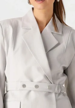 DAMES GESTUZ lichtgrijze blazer dagnygz blazer