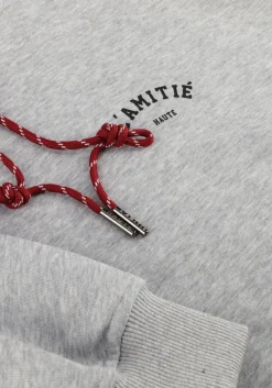 DAMES HAUTE L'AMITIÉ lichtgrijze haute l'amitié sweater mini curve hoodie sweat