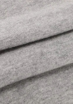 DAMES MAX MARA lichtgrijze trui educata