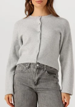 DAMES PENN & INK lichtgrijze vest cardigan w25b345