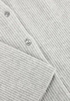 DAMES PENN & INK lichtgrijze vest cardigan w25b345