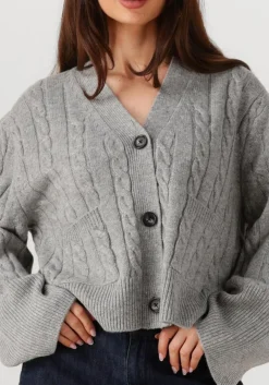 DAMES SECOND FEMALE lichtgrijze vest alphine knit cardigan