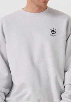 Heren THE SAVAGE REPORT lichtgrijze sweater the reporter