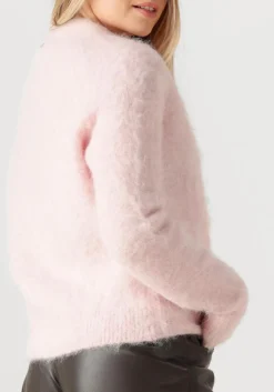 DAMES IBANA trui konia