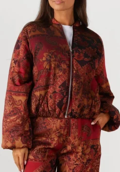 DAMES AMAYA AMSTERDAM jack faith