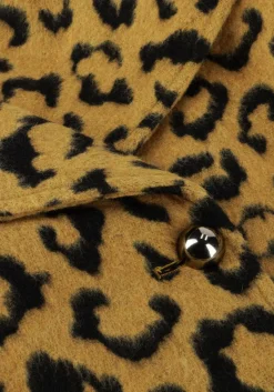 DAMES AMAYA AMSTERDAM jack lotus