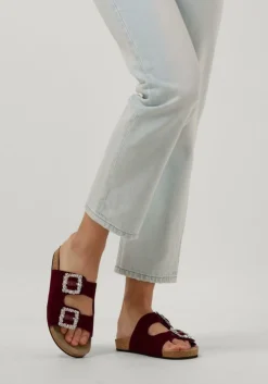 DAMES ELENA IACHI e slippers s63