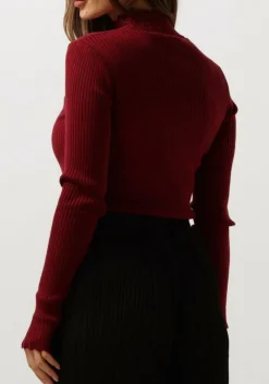 DAMES AAIKO rode tops & t-shirts vida ruffle vis 301 sweaters