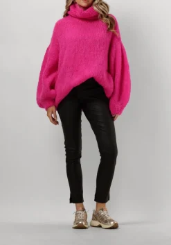 DAMES AMERICAN DREAMS coltrui pepper roll neck alpaca pullover