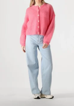 DAMES DES PETITS HAUTS trui alma