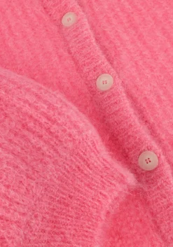 DAMES DES PETITS HAUTS trui alma