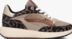 DAMES FLORIS VAN BOMMEL lage sneakers sfw-10138 suvi