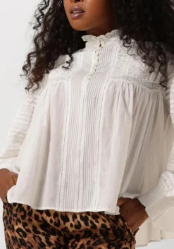 DAMES VANESSA BRUNO dahila