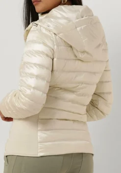 DAMES BEAUMONT te jack devi