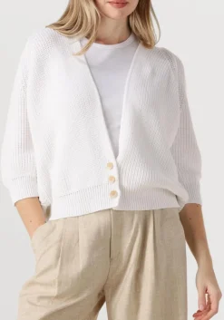 DAMES BELLAMY te vest tessa