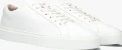 Heren BLACKSTONE te lage sneakers crag finn low