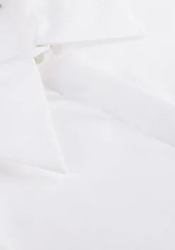 DAMES COPENHAGEN MUSE te blouses cmsophie-shirt