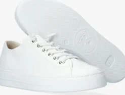 DAMES PAUL GREEN te lage sneakers 4081