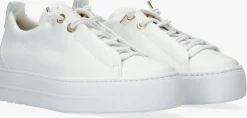DAMES PAUL GREEN te lage sneakers 5017